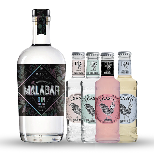 Promo Botella Gin Malabar + 4 mixers a elección